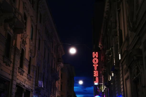 istock Hotel neon sign in the night 686610854