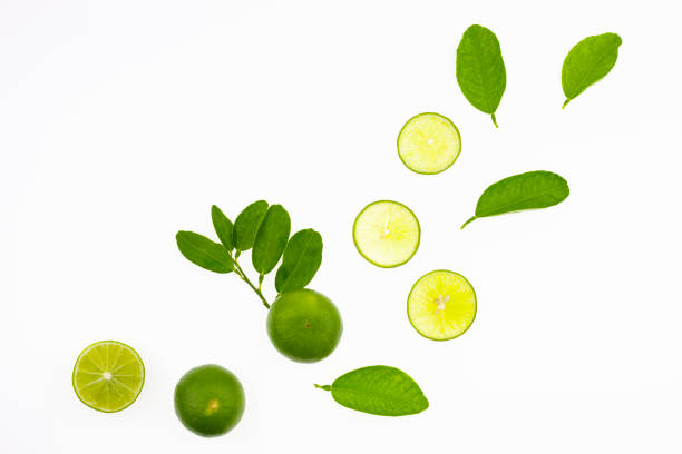 istock Green lemon sliced and leafs isolated on white background. 686613440