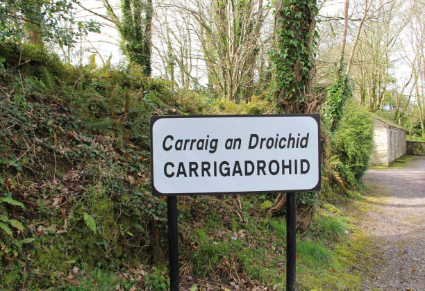 istock Town sign in Ireland 