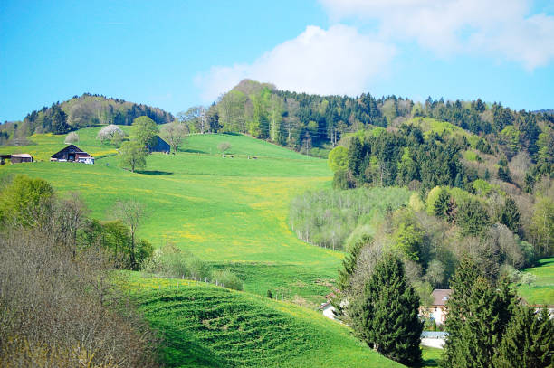 istock The view spring landscape in Switzerland 686623892