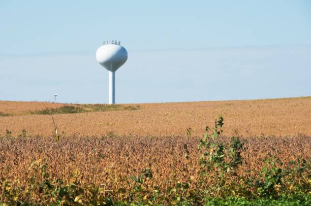 istock Soybeans and Water Tower 686626750