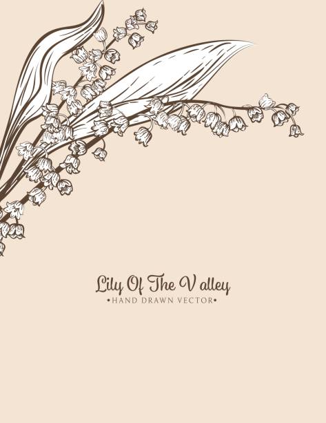 Botanical Lily Of The Valley Invitation Template Botanical Lily Of The Valley Border With copy space. Perfect for a party invitation template. menique lagoon stock illustrations