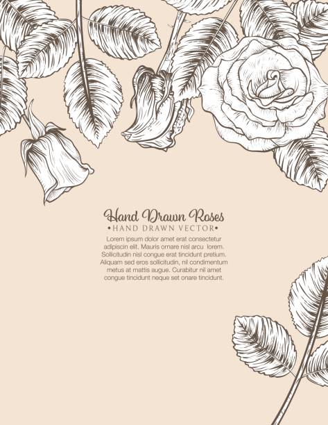 Botanical Roses Invitation Template Botanical Roses Border With copy space. Perfect for a party invitation template. menique lagoon stock illustrations