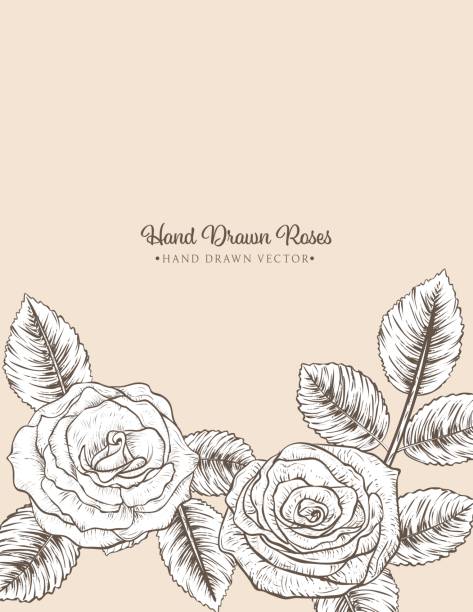 Botanical Roses Invitation Template Botanical Roses Border With copy space. Perfect for a party invitation template. menique lagoon stock illustrations