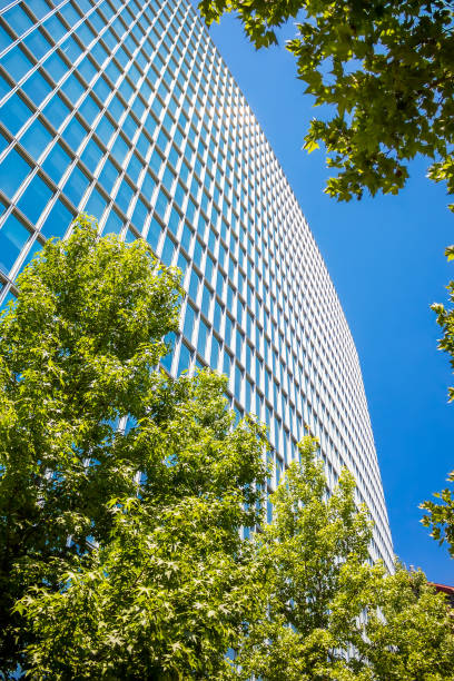 istock Contemporary office building with green leaves 686636416