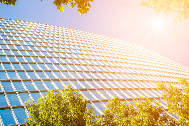 istock Modern office building with green leaves and sunlight 686636566