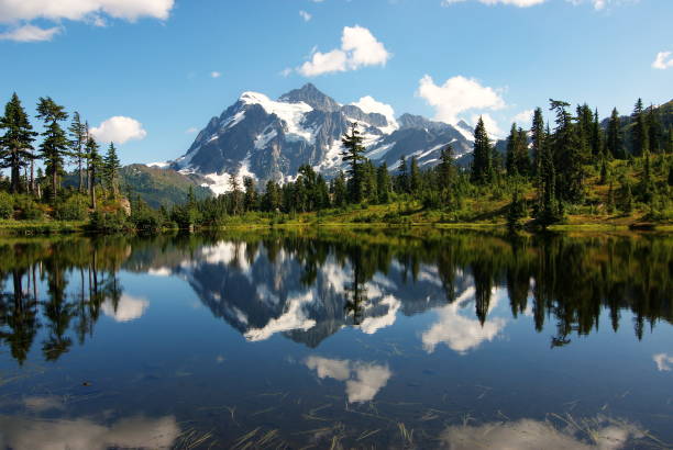 Mount Shuksan reflection at Picture Lake, Washington, USA A beautiful clear summer day at Picture lake in the north cascades national park, Washington USA. The image of snow capped Mount Shuksan is seen reflecting in the clear calm lake. Green trees grow around the edge of the lake. picture lake stock pictures, royalty-free photos & images