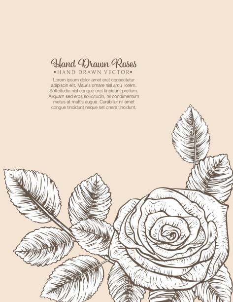 Botanical Roses Invitation Template Botanical Roses Border With copy space. Perfect for a party invitation template. menique lagoon stock illustrations