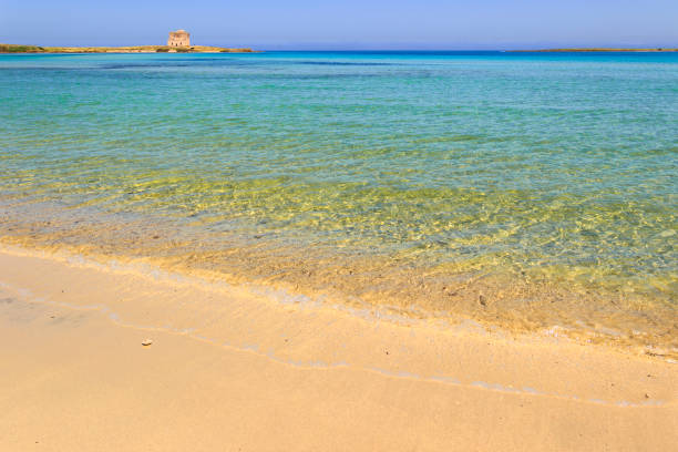 Summertime beach: Torre Guaceto Nature Reserve  (Apulia)-ITALY-