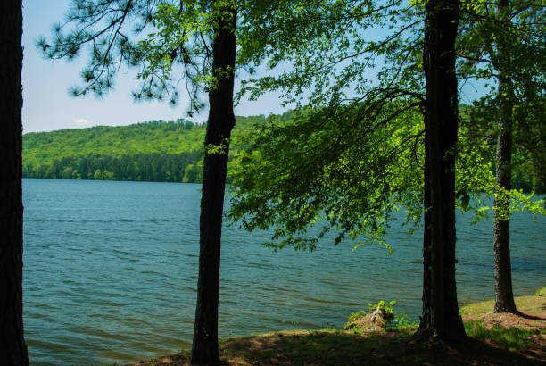 Lake Guntersville in Alabama