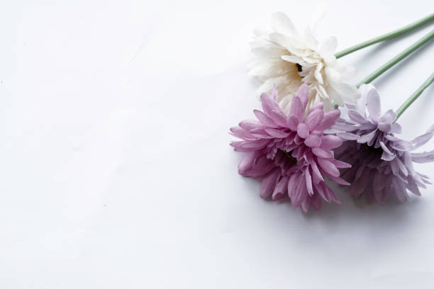 istock Gerbera flower bouquet, Isolated on white 686645646