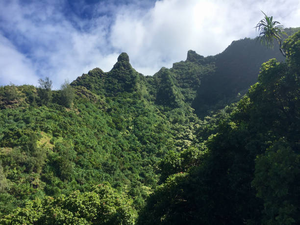 istock Kalalau Hiking trail 686649018