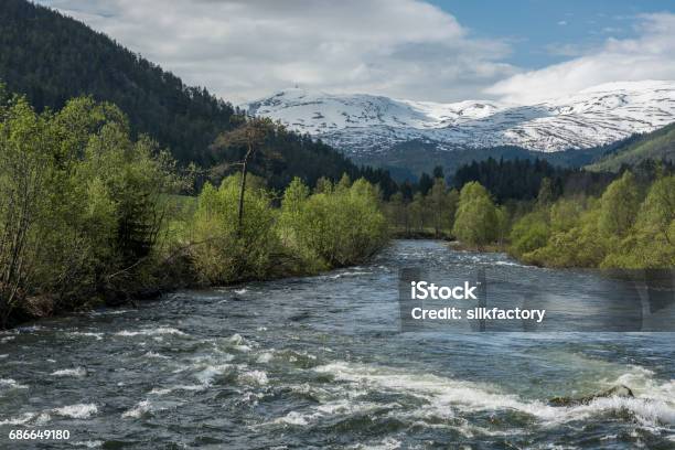Lively Stream From Melting Snow And Ice In Spring Stock Photo - Download Image Now - Flowing Water, Freshness, Green Color