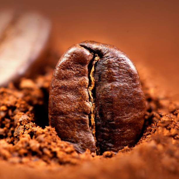 istock Ground Coffee with Roasted Coffee Beans , copyspace.  Espresso Texture macro 686649332