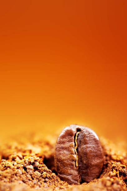 istock Roasted Coffee Beans with copy space.  Espresso Texture macro 686649388