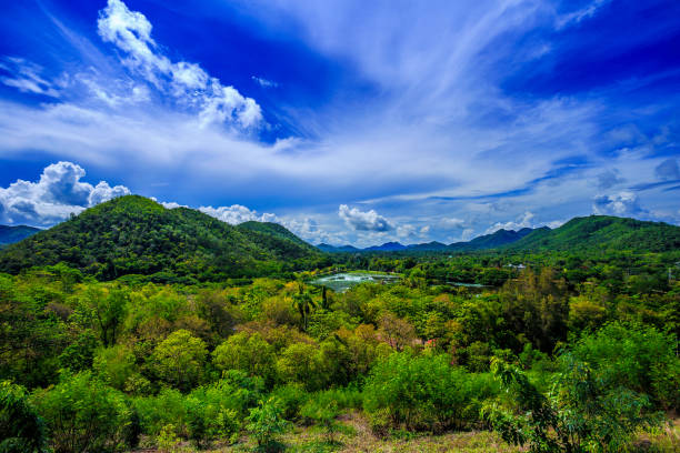 istock The beautiful terrain of the mountain is covered with clouds. 686653074