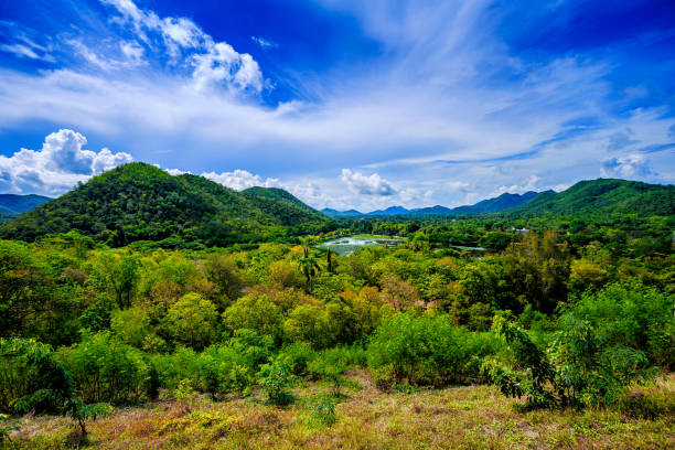 istock The beautiful terrain of the mountain is covered with clouds. 686653342