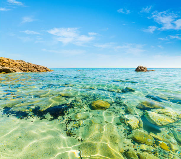 istock Clear water in Santa Giusta beach 686654050