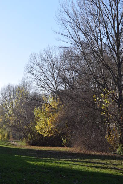 istock Roads during autumn and winter. 686654724