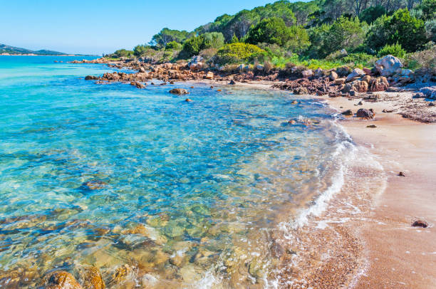 istock Clear water in Lu Impostu beach 686660204