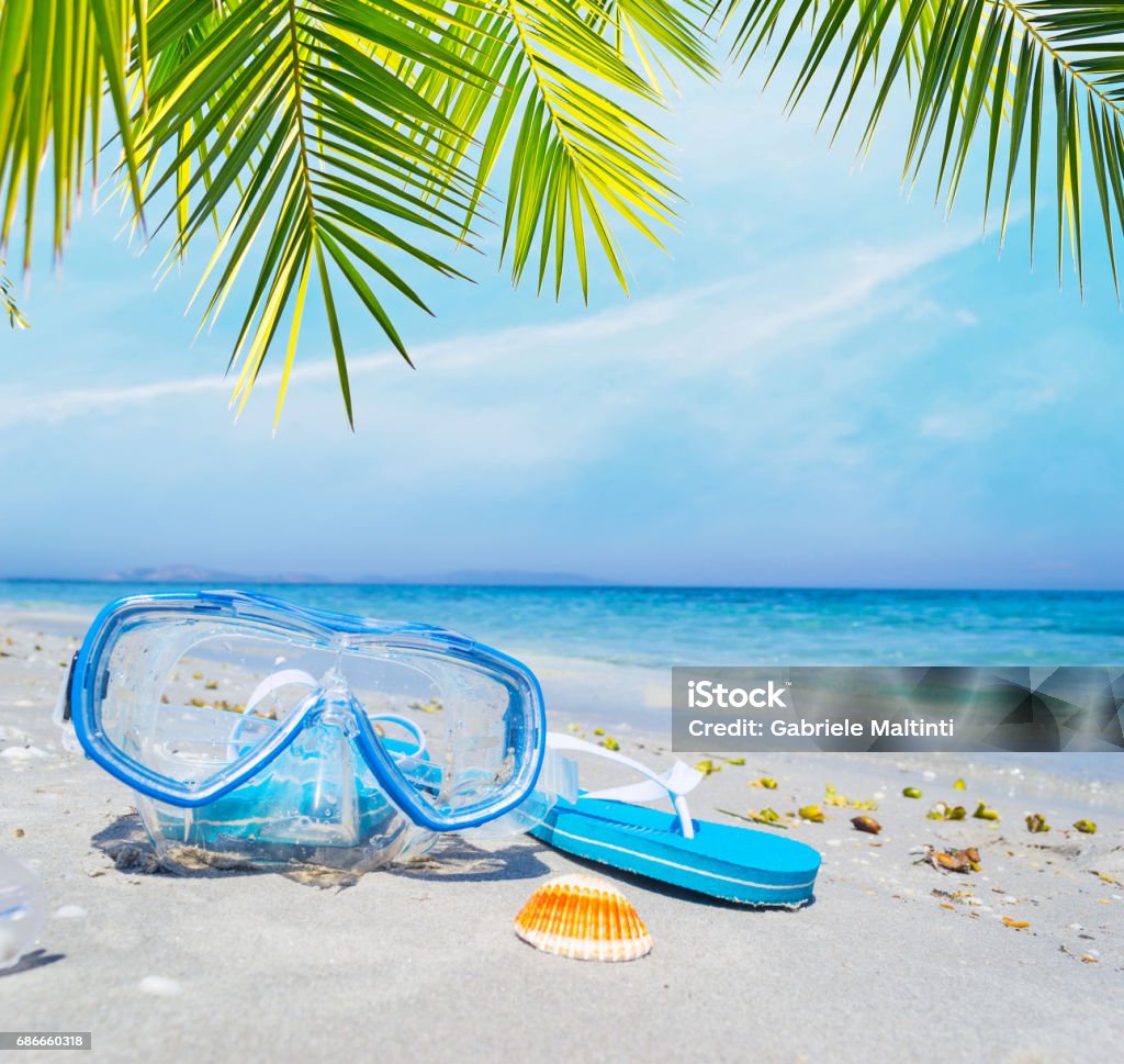 Diving mask and flip flops under a palm tree Diving mask and flip flops under a palm tree on the sand Beach Stock Photo