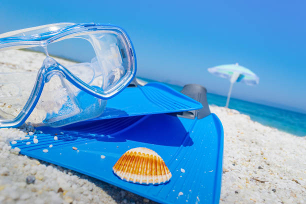 istock Diving mask and flippers on the sand 686663998