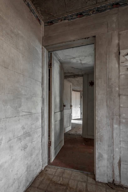 istock Doorways in an abandoned home 686667214