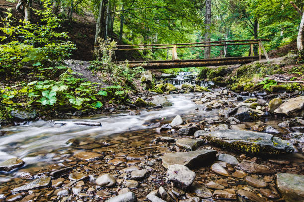istock Waterfall Shypit in the Ukraine 686675754