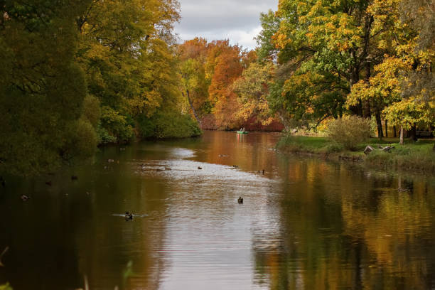 istock autumn Park and pond on a sunny day 686682070