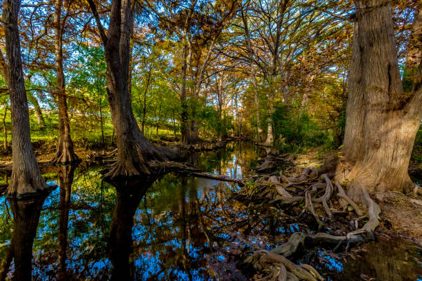 istock Fall Foliage on Cibolo Creek, Texas. 686690184