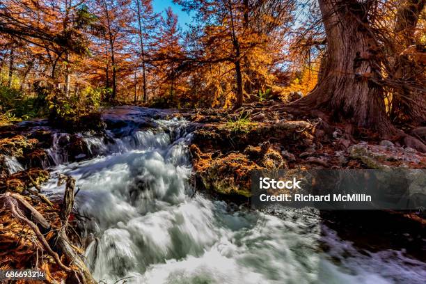 Beautiful Fall Foliage At Waterfall On The Guadelupe River Texas Stock Photo - Download Image Now