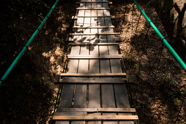 istock background of nature light and shadow under tree with wooden bridge 