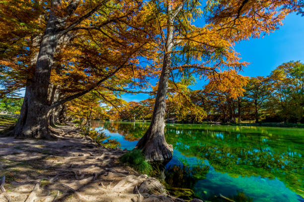 istock Emerald Green Frio River at Garner State Park, Texas 686696248