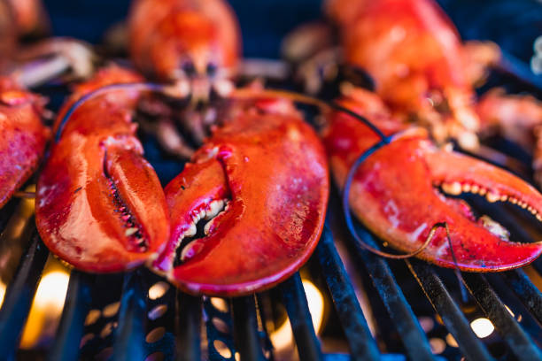 Close-up of Canadian lobsters grilling on the barbecue. stock photo
