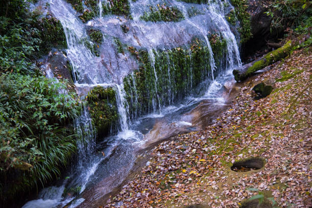 istock beautiful nature background of waterfall on mountain 686699100
