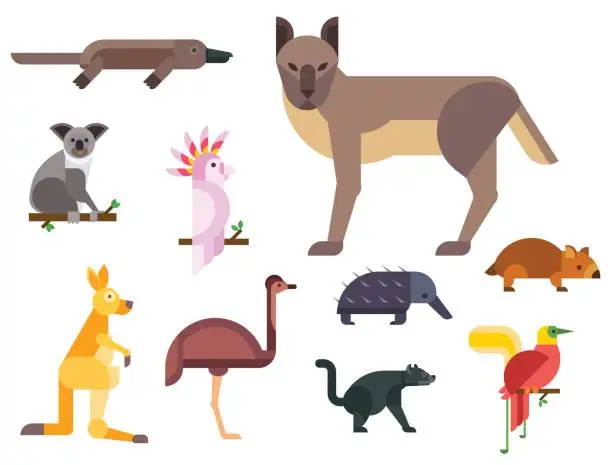 Vector illustration of Australia wild animals cartoon popular nature characters flat style and australian mammal aussie native forest collection vector illustration