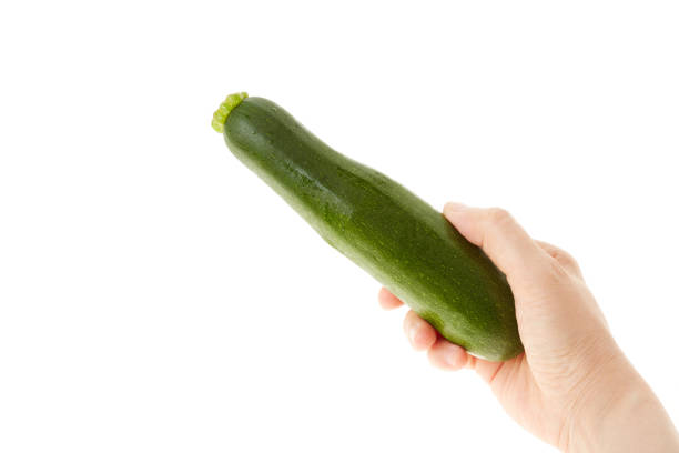 White Background
zucchini zucchini 手 stock pictures, royalty-free photos & images