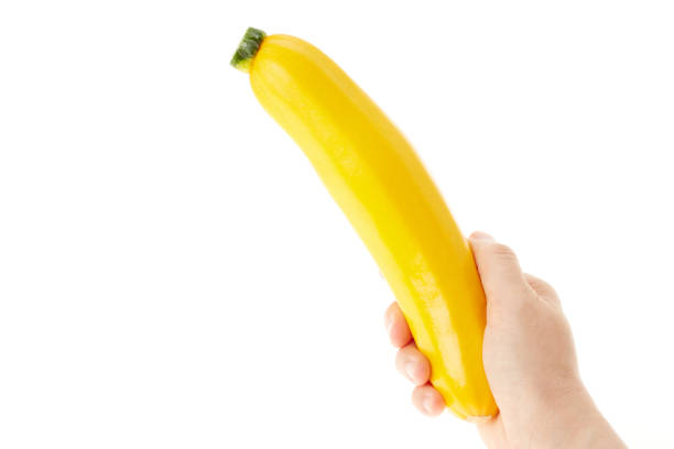 White Background
zucchini zucchini 手 stock pictures, royalty-free photos & images