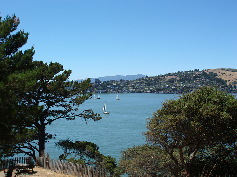 Looking out from Angel Island with sail boats in the foreground and Tibroun in the background