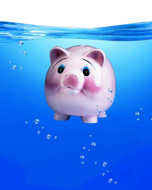 istock Pink Piggy Swimming. 686724742