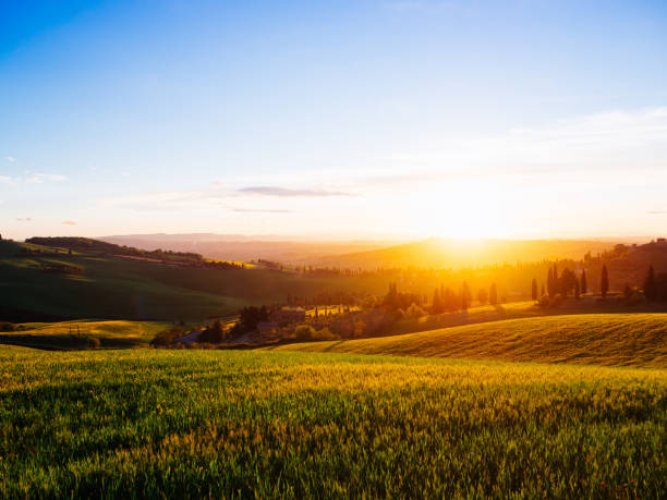 istock Beautiful tuscany landscape at sunset Italy 686728202