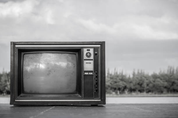 istock Vintage tv in nature. 686731492