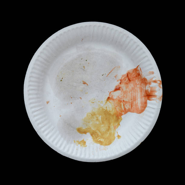 istock Disposable paper plate for food 686733960