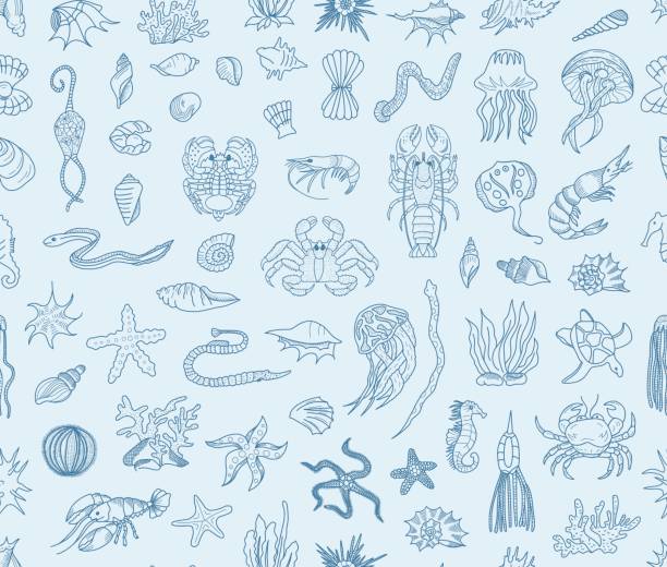 illustrations, cliparts, dessins animés et icônes de mer transparente vie doodles - deep sea diving illustrations