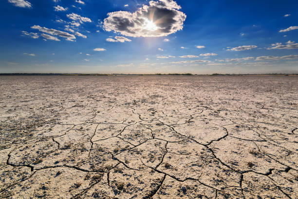 istock Closeup of dry cracked soil 686737032