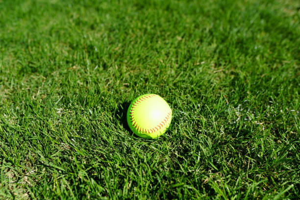 istock Softball at a softball field in California mountains 686737292
