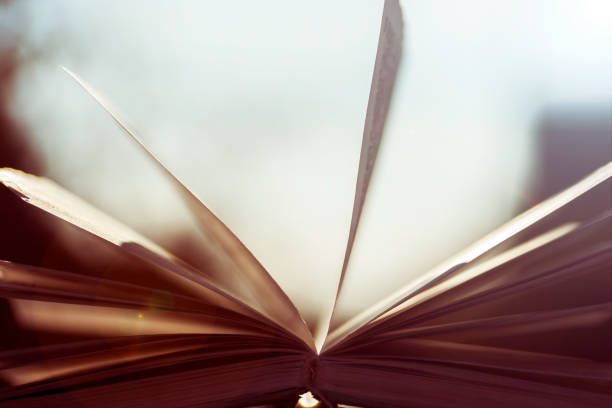 istock Open book on wooden table on natural background. Soft focus 686737562