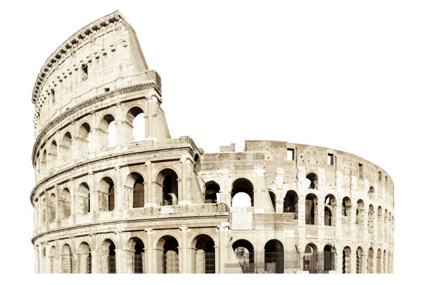 colosseo isolato su bianco. italia roma . anfiteatro flavio - roma foto e immagini stock