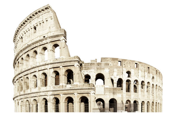 colosseo isolato su bianco. italia roma . anfiteatro flavio - coliseum rome flavian roman foto e immagini stock