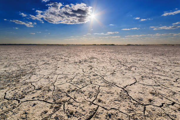 istock Closeup of dry cracked soil 686739798